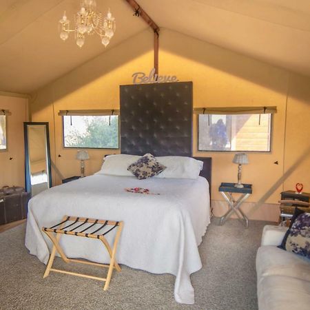 Country Retreat Glamping Otel New Plymouth Dış mekan fotoğraf
