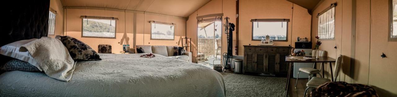 Country Retreat Glamping Otel New Plymouth Dış mekan fotoğraf