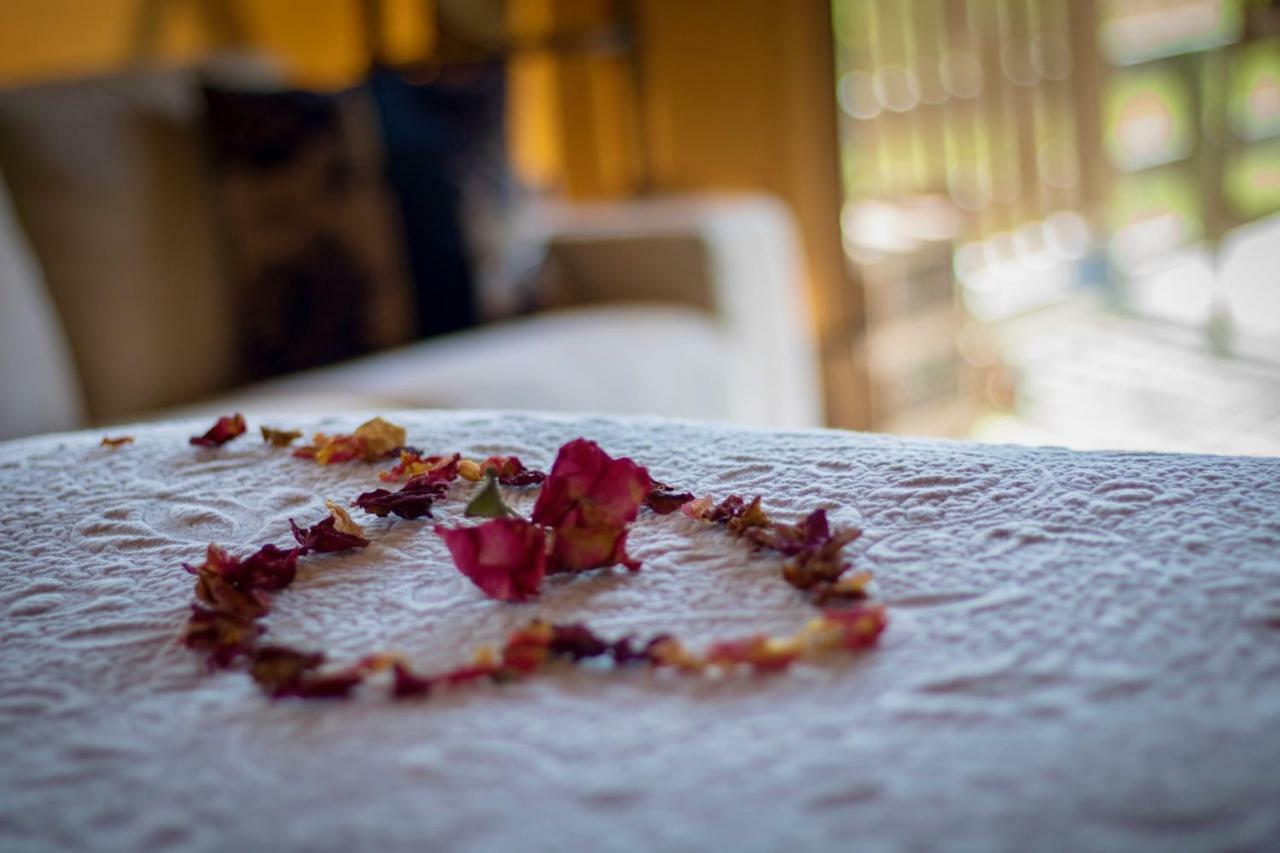 Country Retreat Glamping Otel New Plymouth Dış mekan fotoğraf